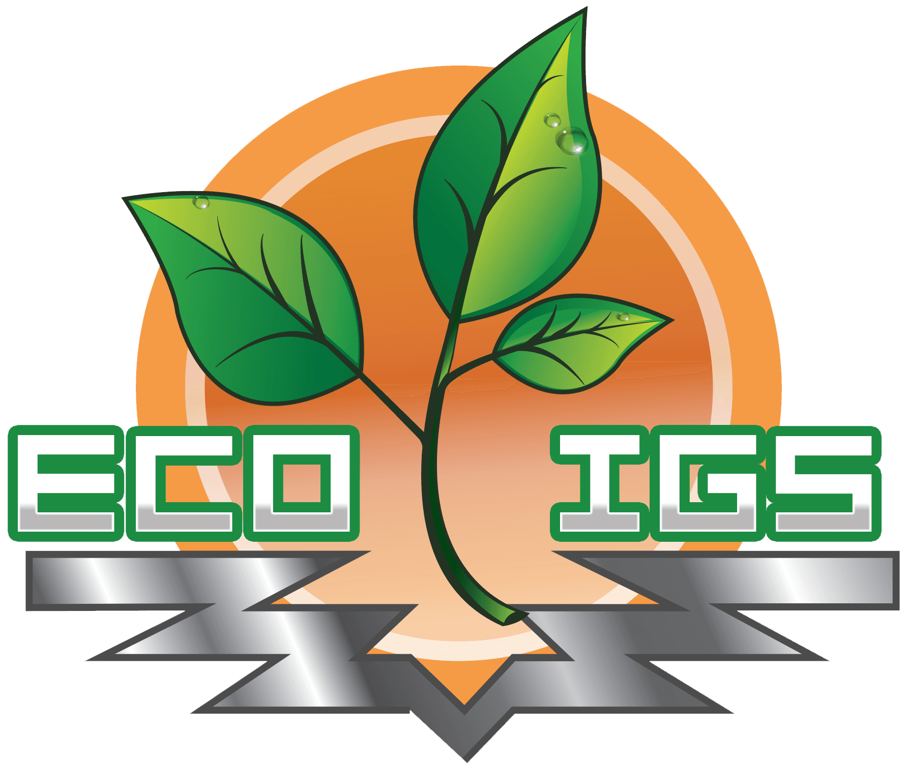 Eco IGS